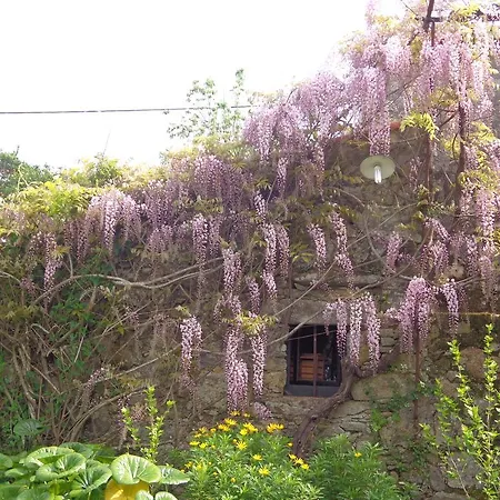 Casa Da Eira De Moledo Kır Evi Moledo (Viana do Castelo)